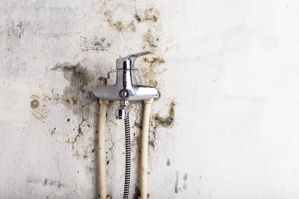 Best Water Damage Restoration  in Somerset, WI