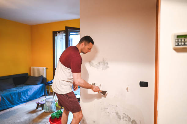 Crawl Space Mold Removal in Somerset, WI