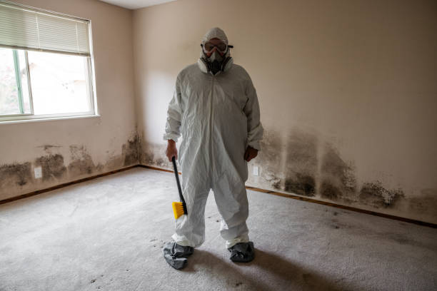 Best Emergency Mold Removal  in Somerset, WI